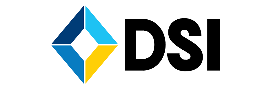 Dsi Logo