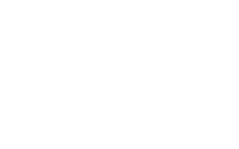 Southwire Logo