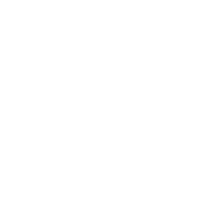 100% veteran owned